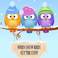 Acri-Snow-Bird-Tips