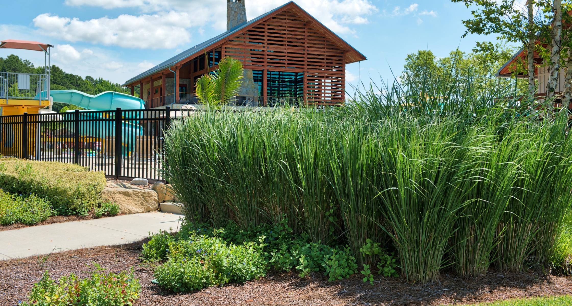 Community homeowners association (HOA) common area transformed to drought-tolerant landscaping with native plants and low-water design